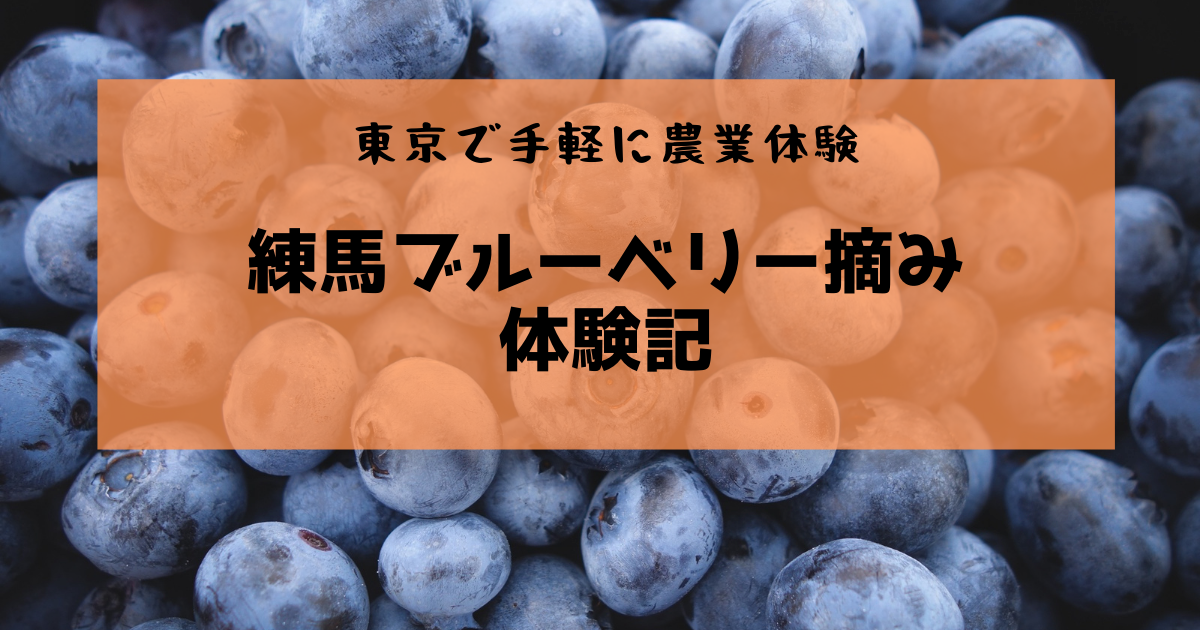 eyecatch-blueberry